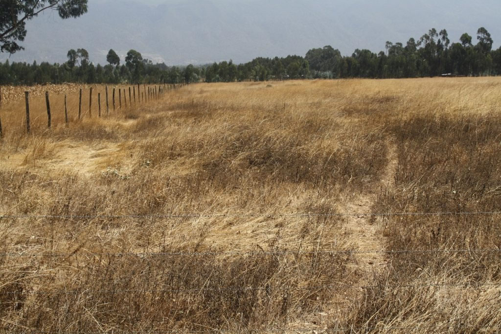 Olkalou 30 Acres for sale in Njambini