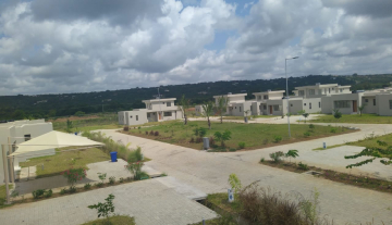 External_1.jpg