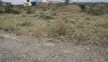 Mlolongo-3.jpg