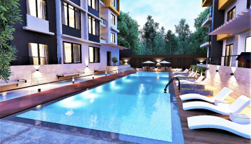wilmaswimmingpool.jpeg