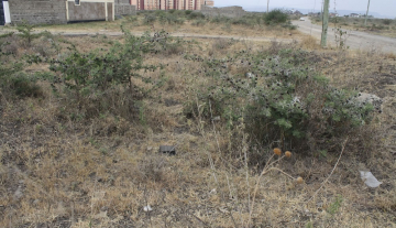 Mlolongo 1/3 Acre Plot For Sale