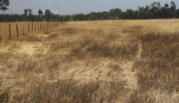 Olkalou 30 Acres for sale in Njambini